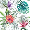 Exotic tropical plants and flowers seamless white background Royalty Free Stock Photo