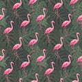 Exotic tropical seamless pattern with pink flamingos, green monstera leaves Royalty Free Stock Photo