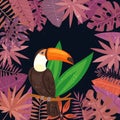 Exotic tropical toucan bird in the jungle, palm banana leaves vector illustration. Paradise trendy poster background Royalty Free Stock Photo