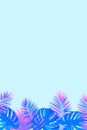 Exotic tropical vertical frame with jungle plants, palm leaves and place for your text. Tropic vector background. Trendy Royalty Free Stock Photo