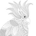 Exotic tropical zentangle cockatoo parrot for adult anti stress Royalty Free Stock Photo