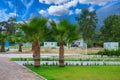 Exotic vegetation on the Mediterranean coast. Turkish palms. The green province of Antalya in Turkey. Background