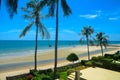 Exotic tropical vibrant coastal waterscape gardens with palm trees in a blue sky over ocean water. Thailand Royalty Free Stock Photo