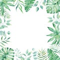 Exotic watercolor tropical frame border palm tree. Summer clipart illustration. Royalty Free Stock Photo