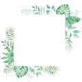 Exotic watercolor tropical frame border palm tree. Summer clipart illustration. Royalty Free Stock Photo