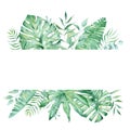 Exotic watercolor tropical frame border palm tree. Summer clipart illustration. Royalty Free Stock Photo