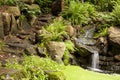 Exotic waterfall in the garden