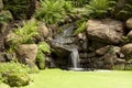 Exotic waterfall in the garden