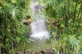 Exotic waterfall on rainforest nature