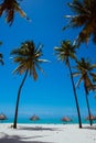 Exotic whitesand beach with blue sea and palms, loungues