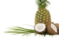 An exotic whole pineapple and halved coconut pieces. Tropical fruits isolated on a white background. Royalty Free Stock Photo