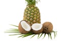 An exotic whole pineapple and halved coconut pieces. Tropical fruits isolated on a white background. Royalty Free Stock Photo