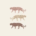 Exotic wild cats. Leopards set. Inhabitants of Asia. Good for summer sale, social media promotional content, t-shirt prints and