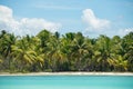 Exotic wild island with palm trees, white sand beach and crystal blue sea water