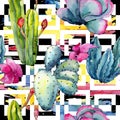 Exotic wildflower cactus pattern in a watercolor style.