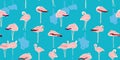 Exotic wildlife flamingo lagoon pattern.