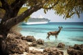 Exotic wildlife seen a cruise ship in the Indian Ocean. Generative AI