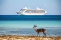 Exotic wildlife seen a cruise ship in the Indian Ocean. Generative AI