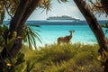 Exotic wildlife seen a cruise ship in the Indian Ocean. Generative AI