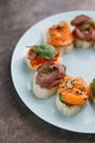 Exotic wine appetizers served on plate. Canapes with salmon fish and sliced meat prepared for eating Royalty Free Stock Photo