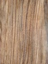 Exotic wood grain texture called Santos palisander Royalty Free Stock Photo