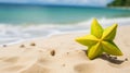 Exotic Yellow Star On Sandy Beach - A Captivating Photo