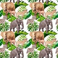 Exotic zebra and elephant wild animals pattern in a watercolor style. Royalty Free Stock Photo