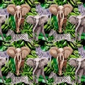 Exotic zebra and elephant wild animals pattern in a watercolor style. Royalty Free Stock Photo