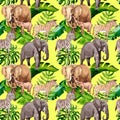 Exotic zebra and elephant wild animals pattern in a watercolor style. Royalty Free Stock Photo