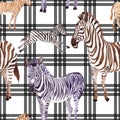 Exotic zebra wild animal in a watercolor style. Watercolor background illustration set. Seamless background pattern. Royalty Free Stock Photo