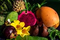 Exotica asian fresh fruits Still Life - pinapple, mango, dragon, snake fruite and mangustin Royalty Free Stock Photo