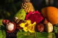 Exotica asian fresh fruits Still Life - pinapple, mango, dragon, snake fruite and mangustin Royalty Free Stock Photo
