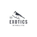 exotics bird perched branch sooty-headed Bulbul logo design icon vector illustration