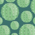 Exotics cactus plants natural pattern