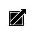 expand the program window icon. Simple glyph, flat vector of Web icons for UI and UX, website or mobile application