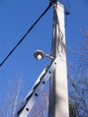 Expandable ladder leaning against the electric post