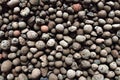 Expanded Clay Texture Background Stones Royalty Free Stock Photo