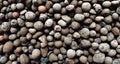 Expanded Clay Aggregate Stones Texture Royalty Free Stock Photo
