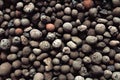 Expanded Clay Aggregate Background Pattern. Stones Texture For Gardening. Royalty Free Stock Photo