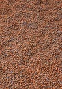Expanded clay aggregate texture background Royalty Free Stock Photo