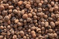Expanded clay aggregate texture background Royalty Free Stock Photo