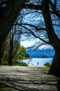 Expanded image between trees of the famous Wanaka lake with the snowy Mount Cook in the background taken on a sunny winter day,