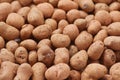 Expanded lightweight clay pebbles Royalty Free Stock Photo