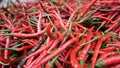 Expanse of curly red chili Royalty Free Stock Photo