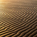 An expanse of desert sand forms mesmerizing patterns of ripples and ridges, created by wind action. Royalty Free Stock Photo