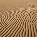 An expanse of desert sand forms mesmerizing patterns of ripples and ridges, created by wind action. Royalty Free Stock Photo