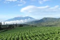 fresh morning view of the highlands. natural tourist destinations in East Java Indonesia