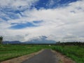 Expanse of rice fields with views of Mount Agung