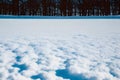 Expanse of snow to the trees