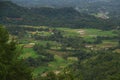 Expanse of views of green rice fields in the area of West Sumatra